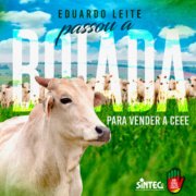 Eduardo-leite-passou-a-boiada-para-vender-a-ceee 1 Eduardo-leite-passou-a-boiada-para-vender-a-ceee