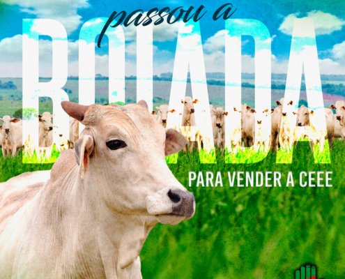 Eduardo-leite-passou-a-boiada-para-vender-a-ceee